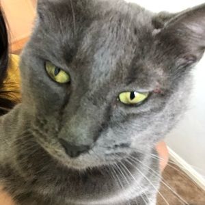 Meet your Posher, Leslie